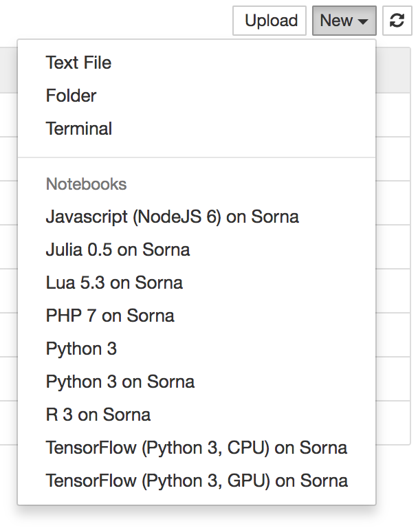 Notebook Kernel Type Menu