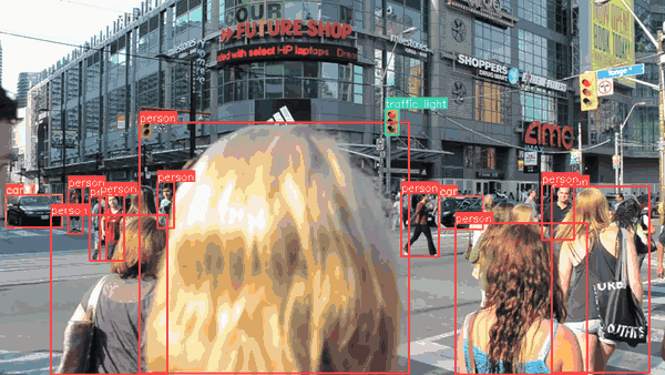 Tracking pedestrians with persistent IDs