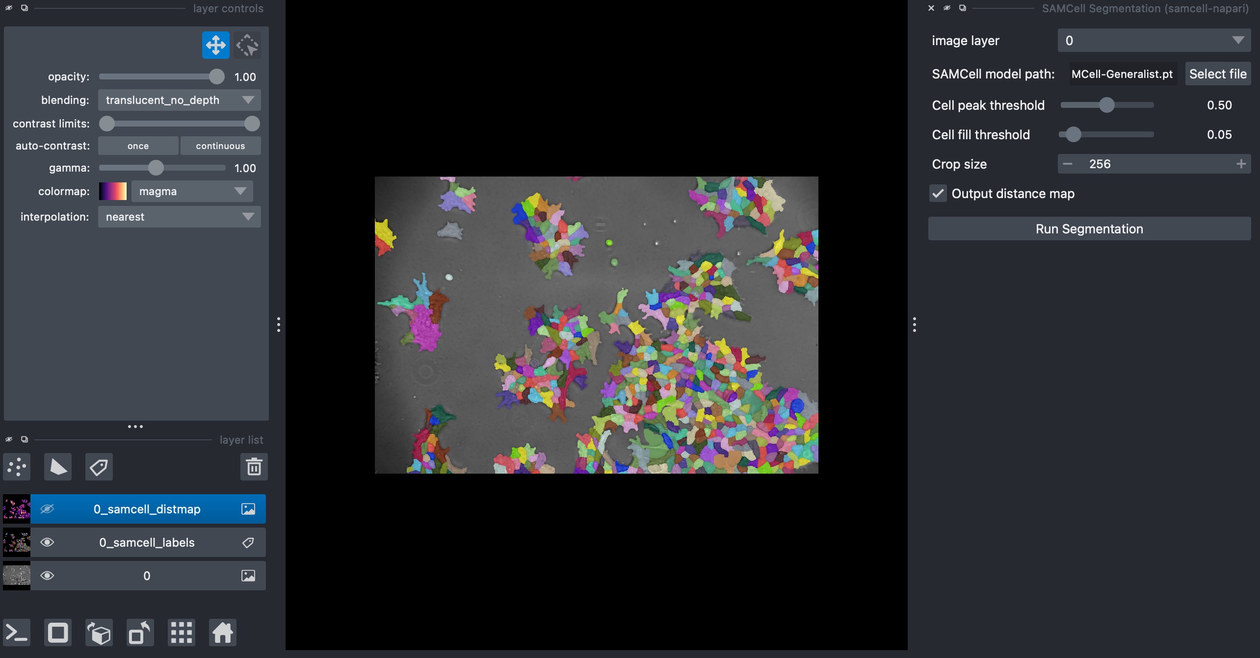 SAMCell Segmentation Example