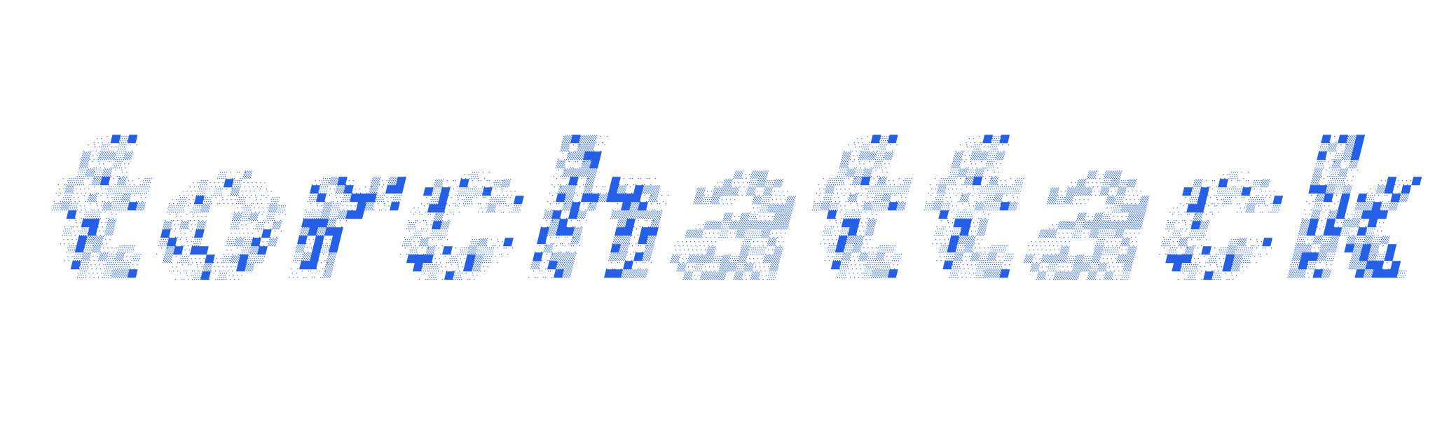 torchattack banner