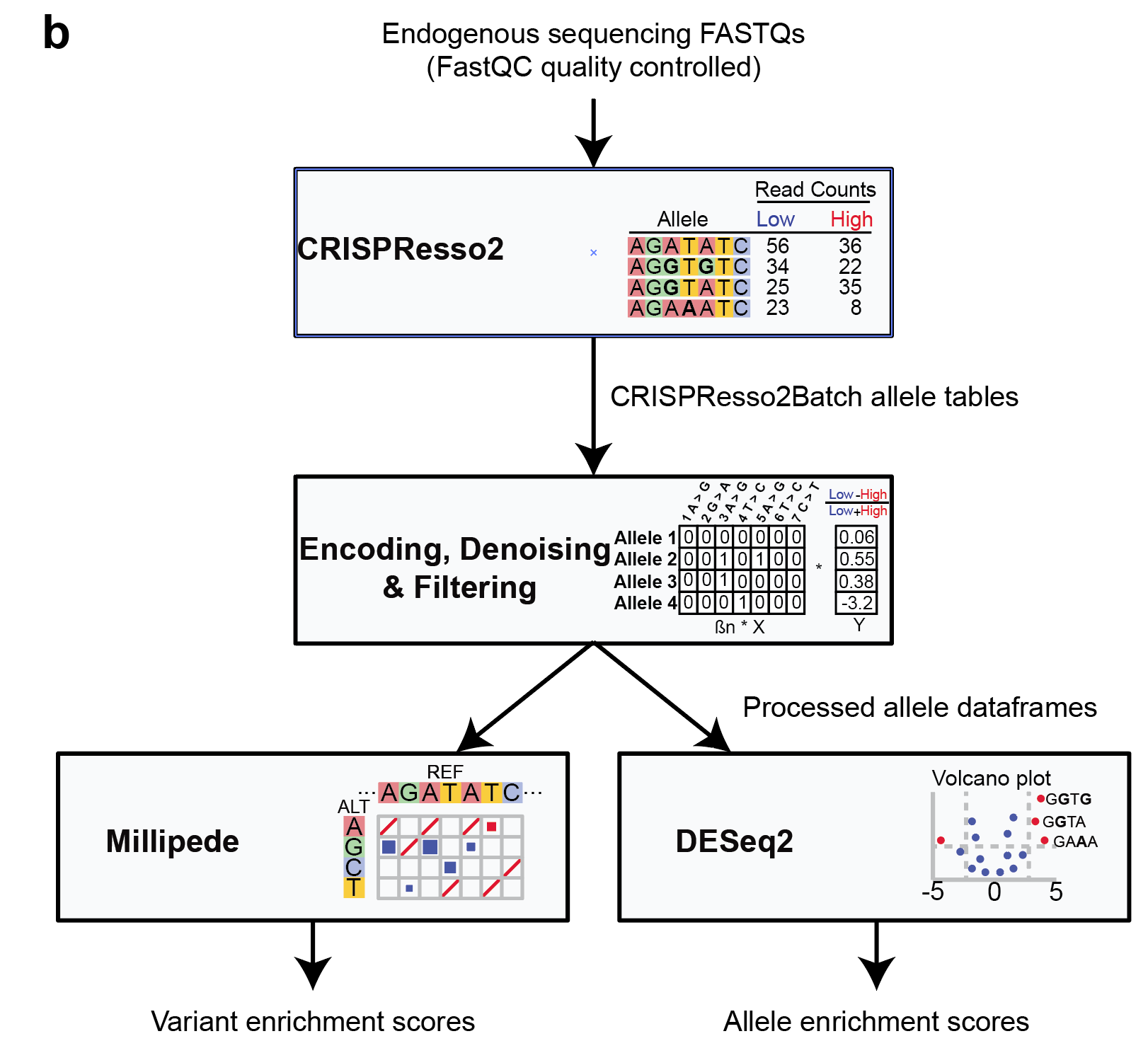 CRISPR-CLEAR framework