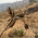 Avatar for vagabonddd from gravatar.com