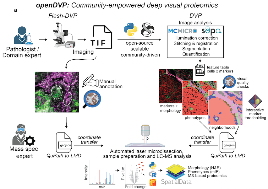 Screenshot 2025-07-10 at 13 11 28