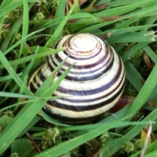 Avatar for Bradley Bell from gravatar.com