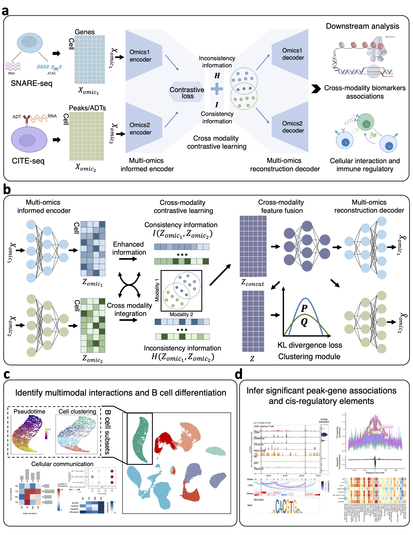 The framework plot of scMDCF