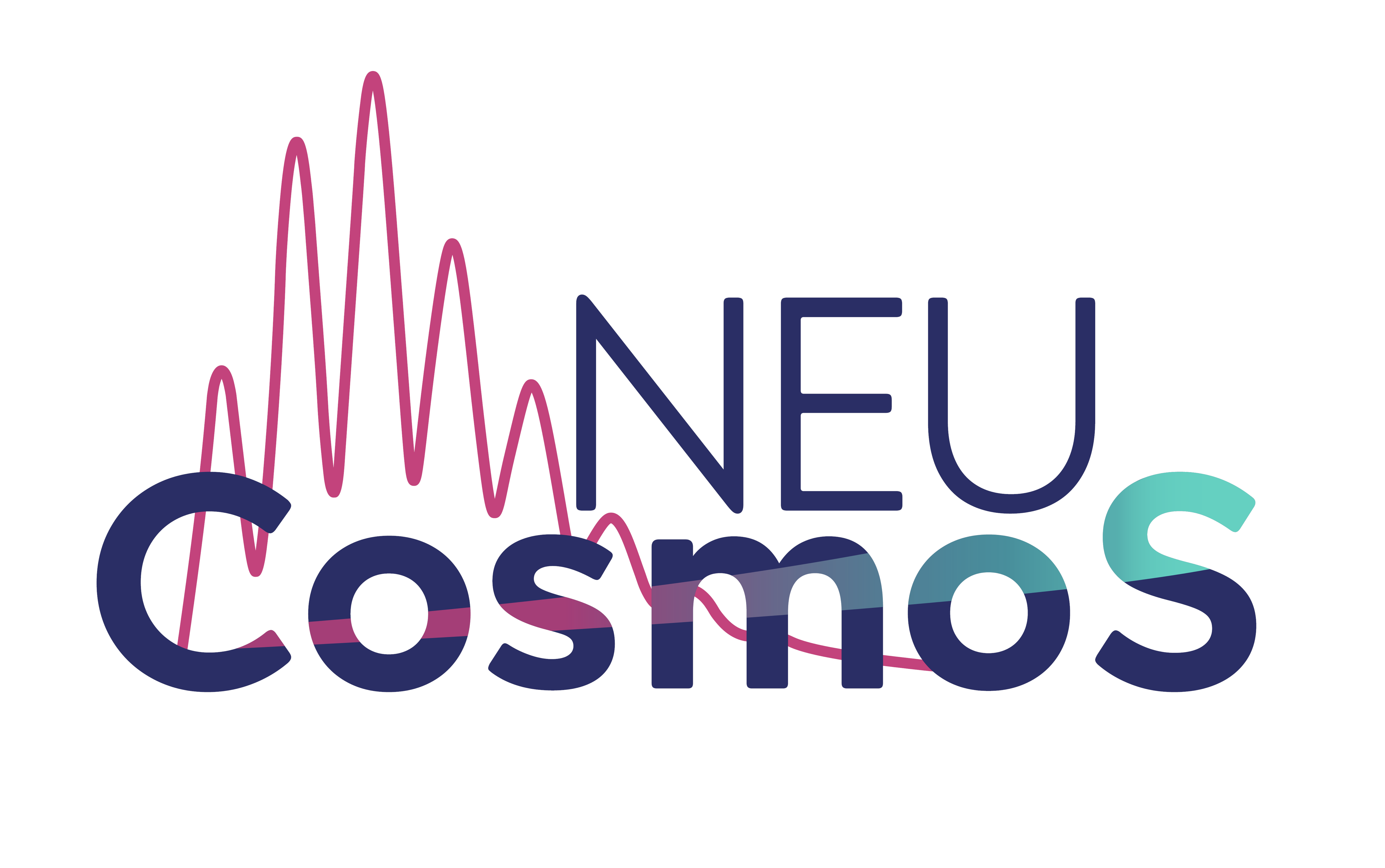 NEUCosmoS