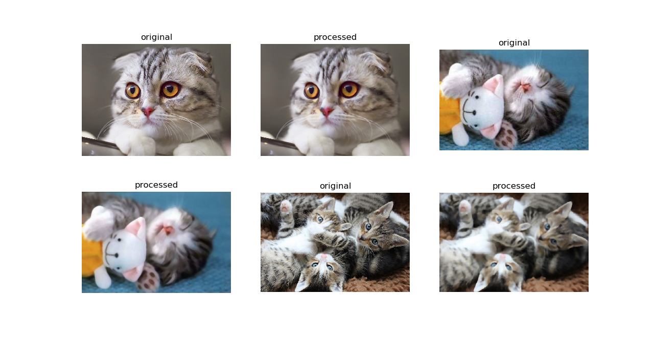 Cats-Median-Smooth