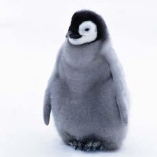 Avatar for Takayuki Serizawa from gravatar.com