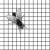 Avatar for flywire0 from gravatar.com