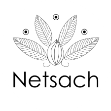 Avatar for Netsach from gravatar.com