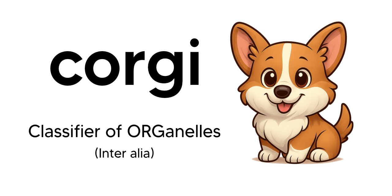 https://raw.githubusercontent.com/rbturnbull/corgi/main/docs/images/corgi-banner.jpg