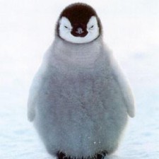 Avatar for Jeffrey Lotthammer from gravatar.com