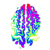 Avatar for cwren from gravatar.com