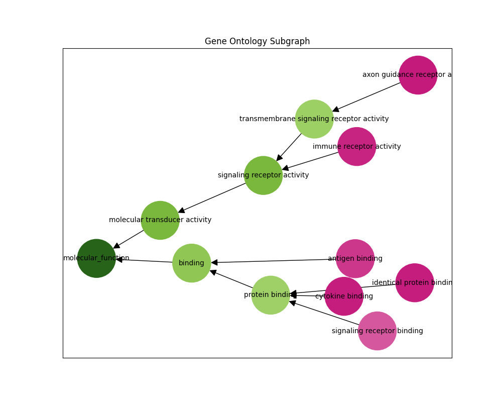 Example GO Subgraph