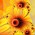 Avatar for tadams42 from gravatar.com