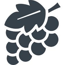 Avatar for SUN from gravatar.com
