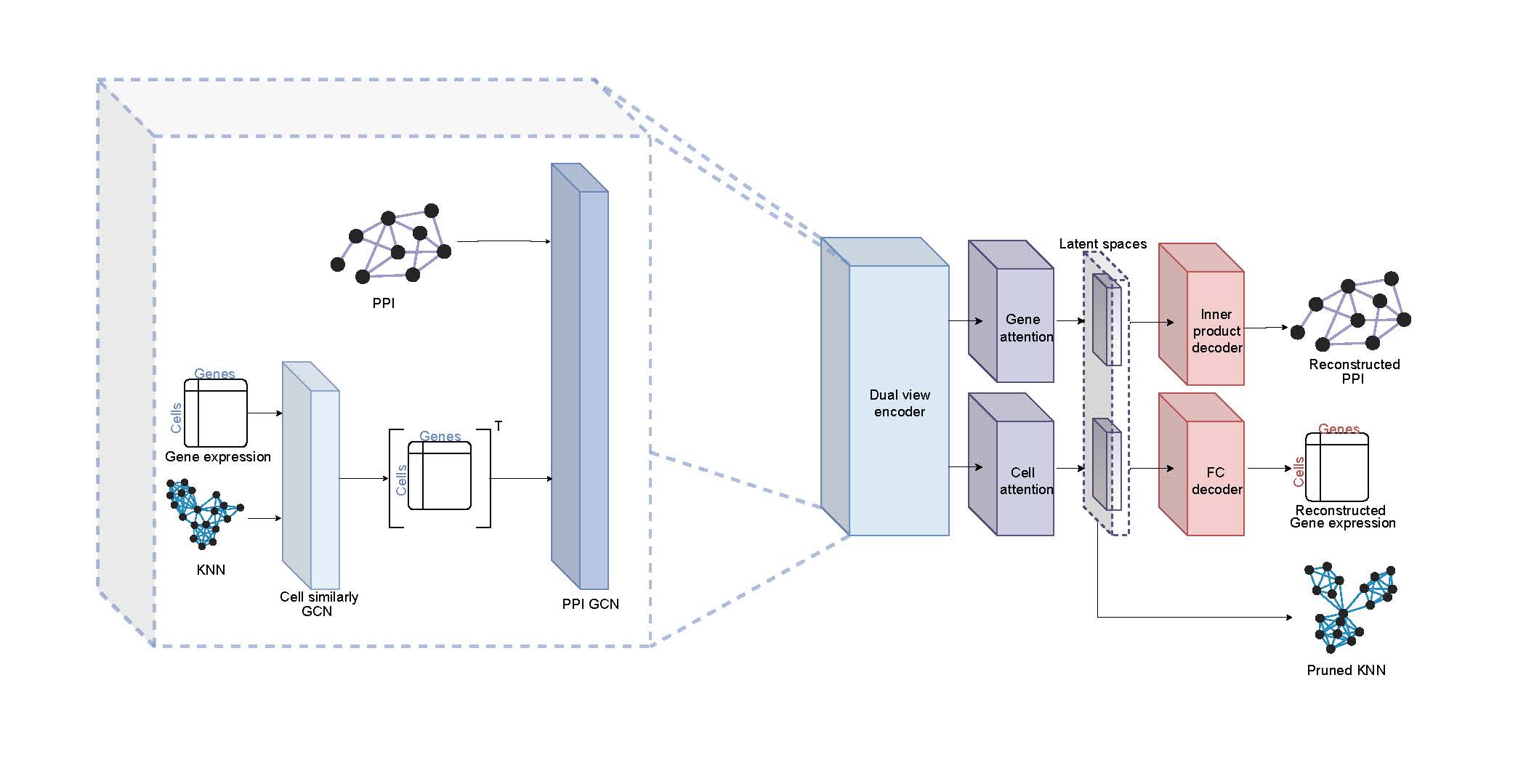 Overview of the scNET Method