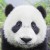 Avatar for jindongwang from gravatar.com