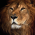 Avatar for KrishnaBelamkonda from gravatar.com
