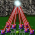 Avatar for michionlion from gravatar.com