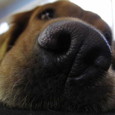 Avatar for Brendan Dahl from gravatar.com