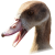 Avatar for wukl from gravatar.com