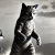Avatar for iamperfectlycromulent from gravatar.com
