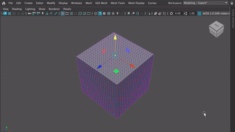 ZenTools for Maya Demo