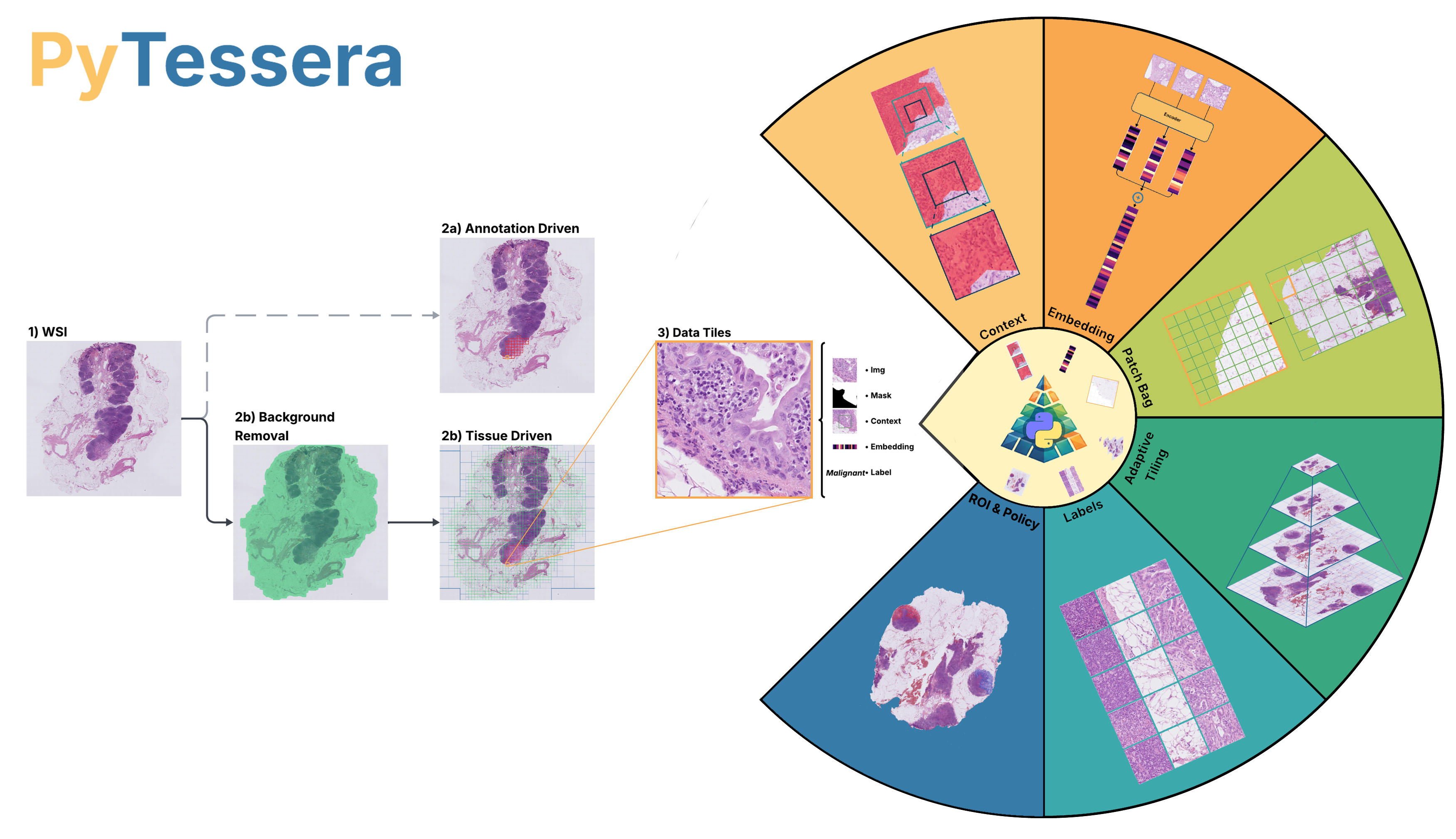 PyTessera graphical abstract