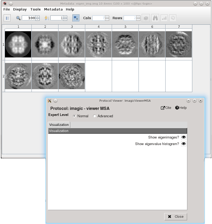 Displaying results of MSA protocol