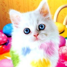 Avatar for Vitaly Markov from gravatar.com