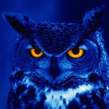 Avatar for Daniel from gravatar.com