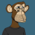 Avatar for shashanktomar from gravatar.com