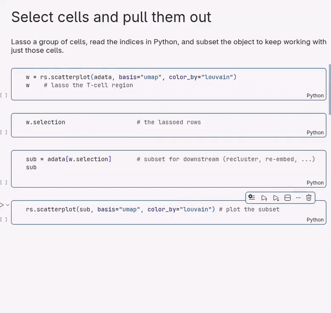Lasso cells in the UMAP and subset the AnnData from the selection