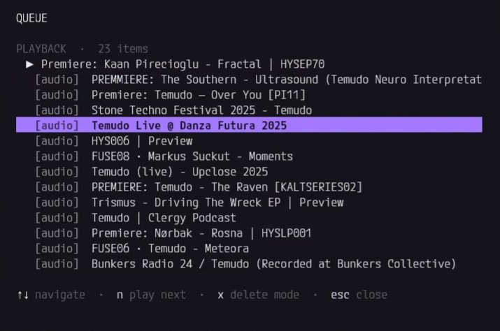 Playback queue modal