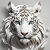 Avatar for kalanakt from gravatar.com