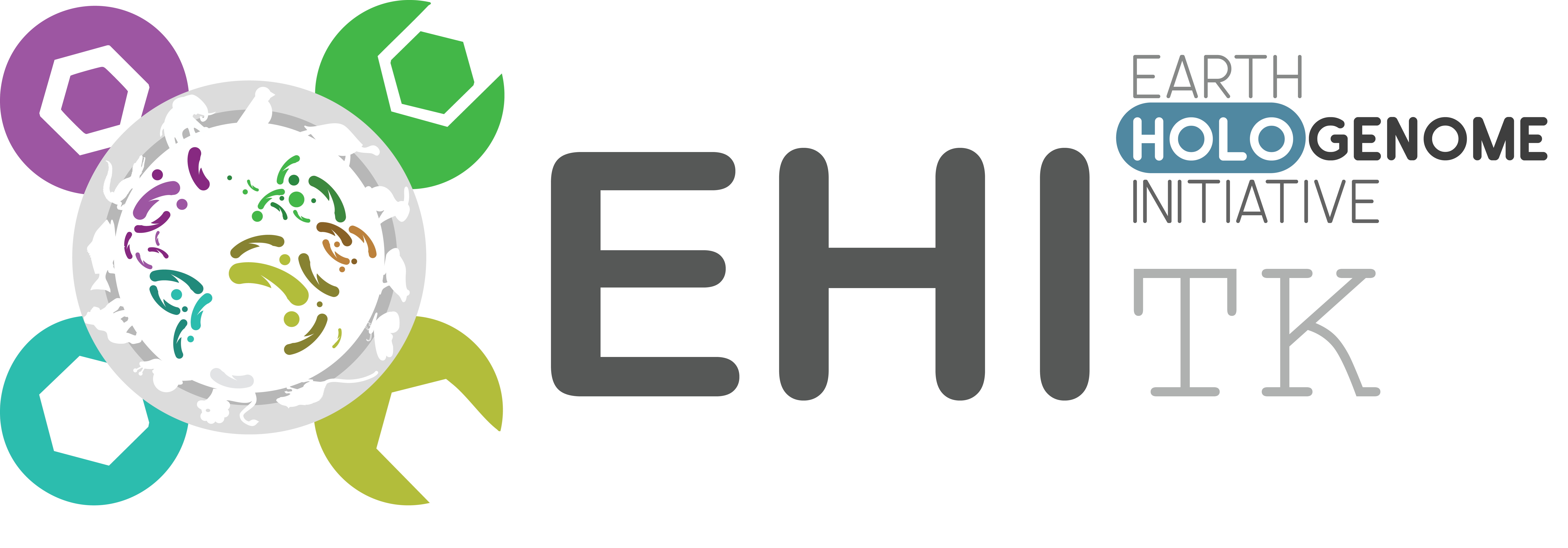 EHItk logo