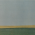 Avatar for llyfn from gravatar.com