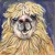 Avatar for ktmud from gravatar.com