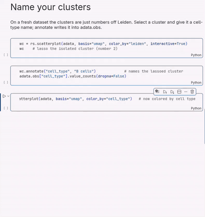 Lasso a cluster, annotate it, and recolor by the new obs column