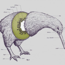 Avatar for Iain McConnell from gravatar.com