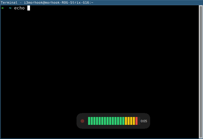 capturing on a terminal