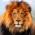 Avatar for danaugrs from gravatar.com