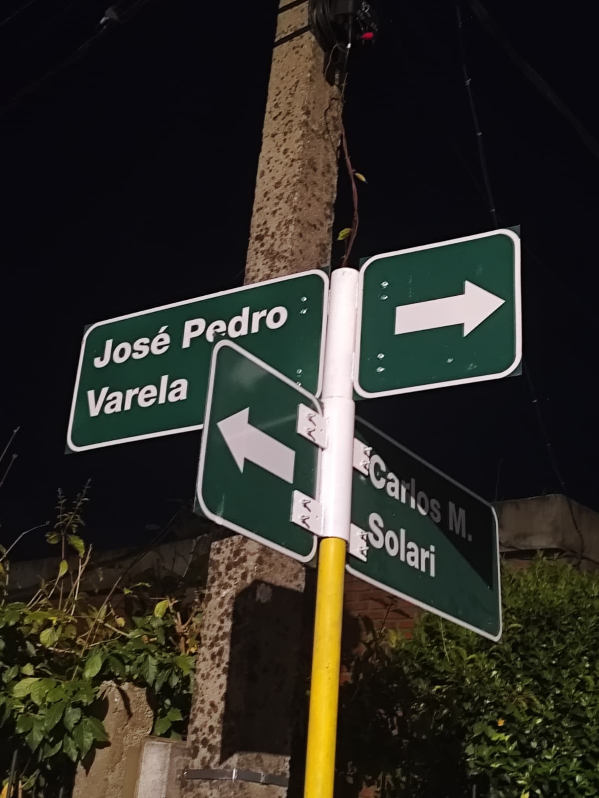 The street signs at the corner of José Pedro Varela and Carlos María Solari in Dolores, photographed at night.