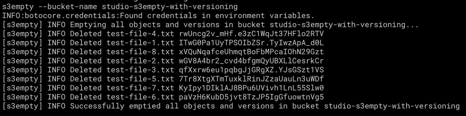 S3Empty console screenshot