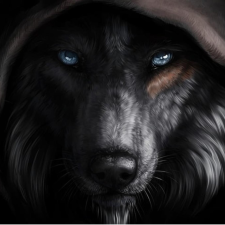 Avatar for BigBlackWolf from gravatar.com