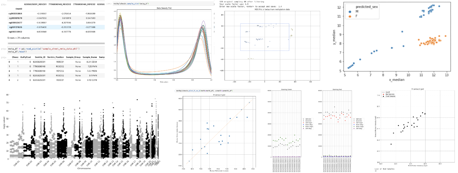 methylcheck snapshots