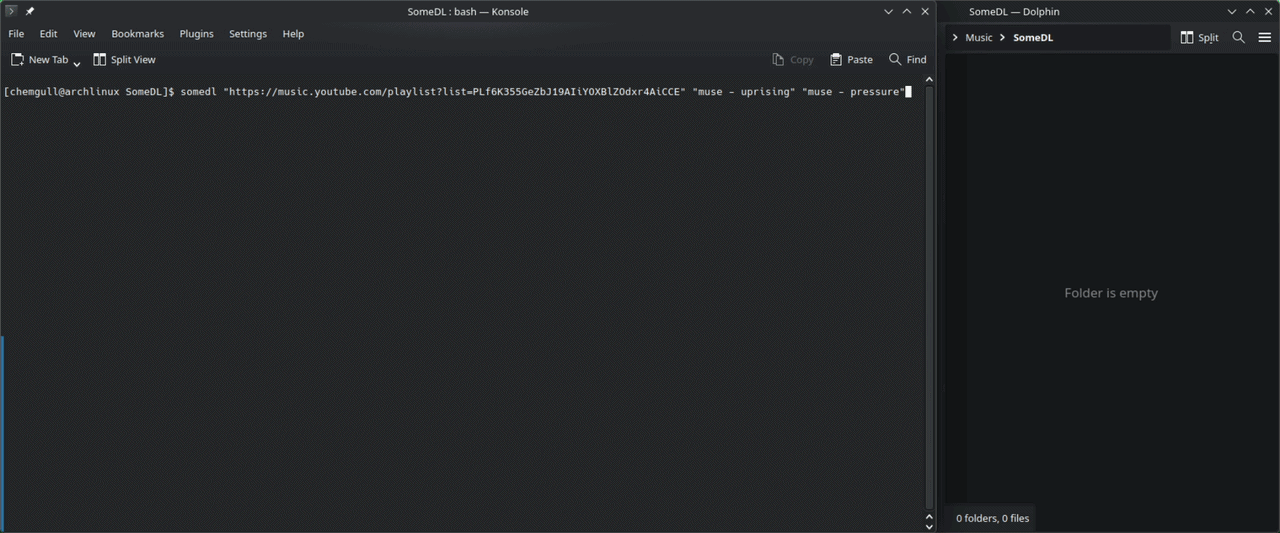 SomeDL usage gif
