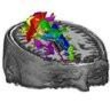 Avatar for sapetnioc from gravatar.com