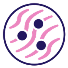 Avatar for TIA Lab from gravatar.com